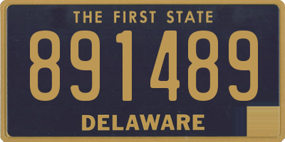 DE license plate 891489