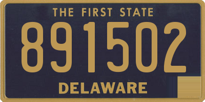 DE license plate 891502