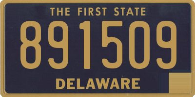 DE license plate 891509
