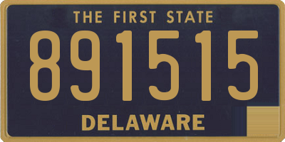 DE license plate 891515