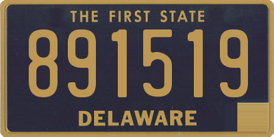 DE license plate 891519