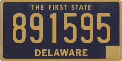DE license plate 891595