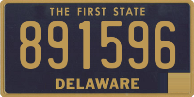 DE license plate 891596