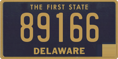 DE license plate 89166
