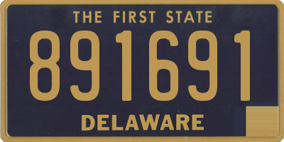 DE license plate 891691