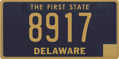 DE license plate 8917