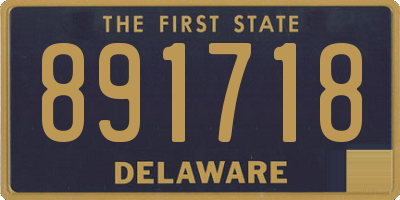 DE license plate 891718