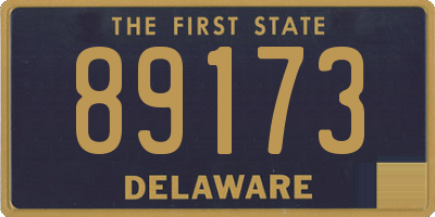 DE license plate 89173