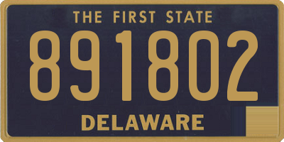 DE license plate 891802