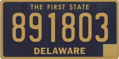 DE license plate 891803