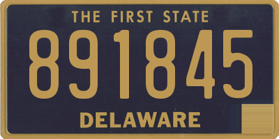 DE license plate 891845