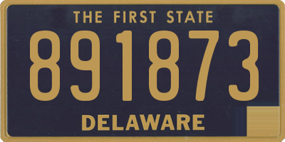 DE license plate 891873