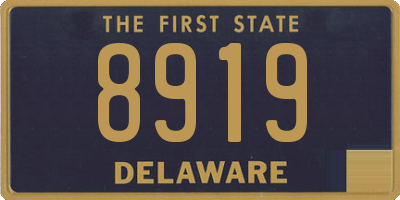 DE license plate 8919