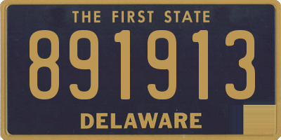 DE license plate 891913