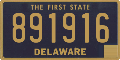 DE license plate 891916