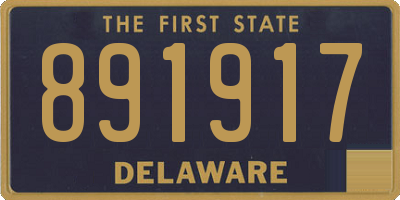 DE license plate 891917