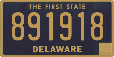 DE license plate 891918