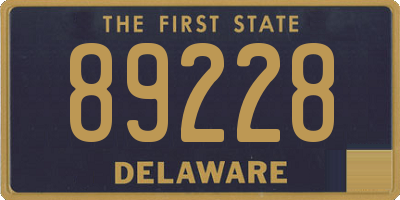 DE license plate 89228