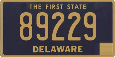 DE license plate 89229