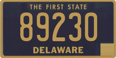 DE license plate 89230