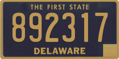 DE license plate 892317