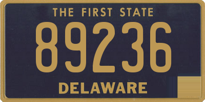 DE license plate 89236