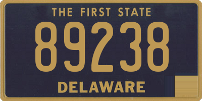 DE license plate 89238
