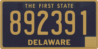DE license plate 892391