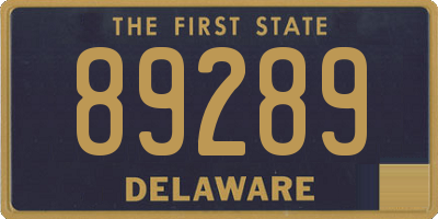 DE license plate 89289