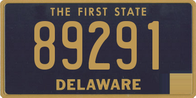 DE license plate 89291
