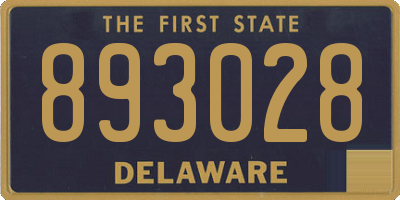 DE license plate 893028