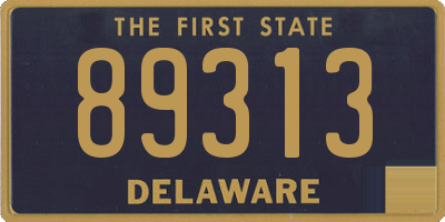 DE license plate 89313