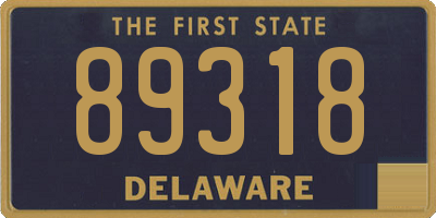 DE license plate 89318