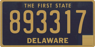 DE license plate 893317