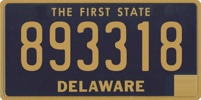 DE license plate 893318