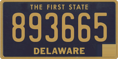 DE license plate 893665