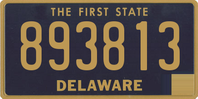 DE license plate 893813