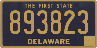DE license plate 893823