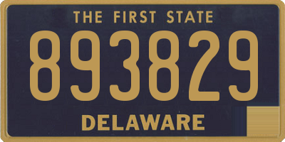 DE license plate 893829