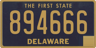 DE license plate 894666