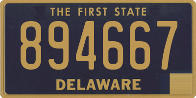 DE license plate 894667
