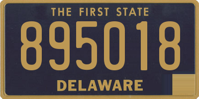DE license plate 895018
