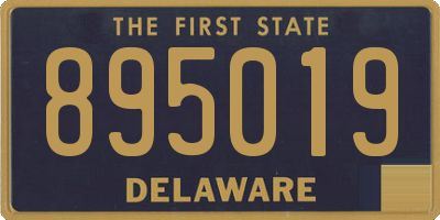 DE license plate 895019