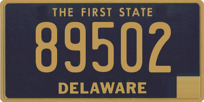DE license plate 89502