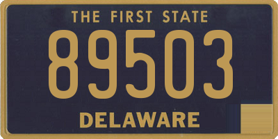 DE license plate 89503