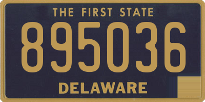 DE license plate 895036