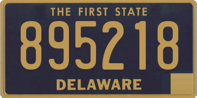 DE license plate 895218