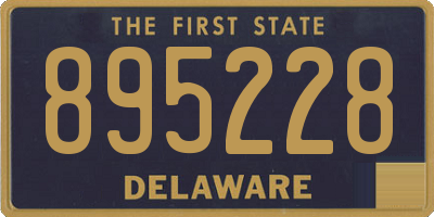 DE license plate 895228