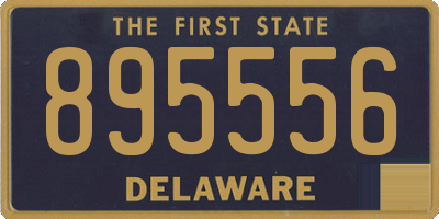 DE license plate 895556