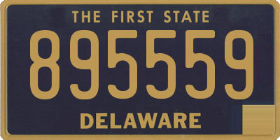 DE license plate 895559